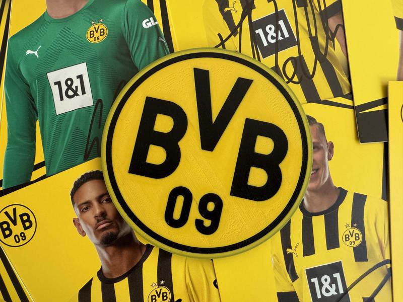 BVB Coaster