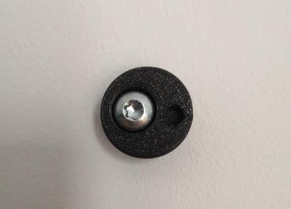 Eccentric levelling painting hanger