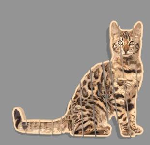 Articulated Cat (Flexi Cat)   