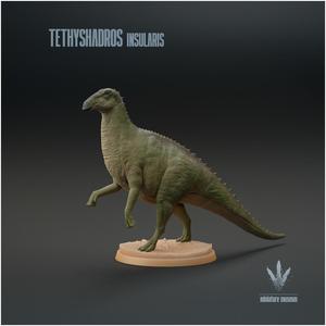 Tethyshadros insularis : Standing