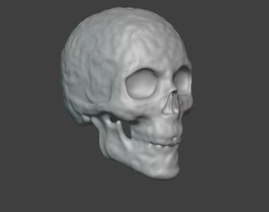 skull