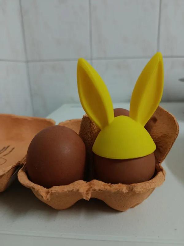 Bunny ears hat for Egg   