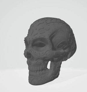 Skull