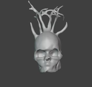 skull with horn