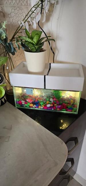 Small Aquarium Lid   