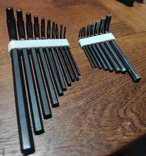 Tools holder for Allen and Torx set