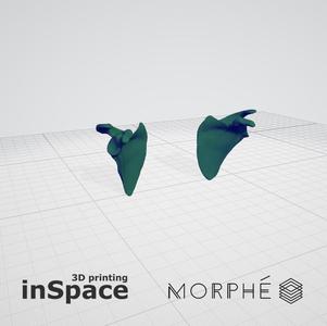 Medical - Scapula (solid) - Real size