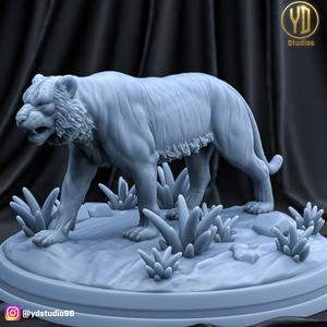 TIGER