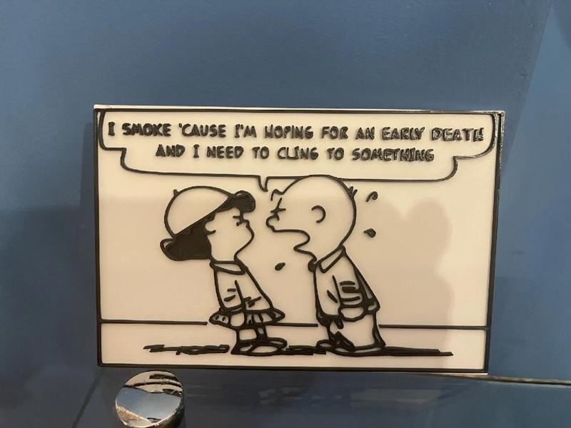 This Charming Charlie Wall Art - What She Said - The Smiths + Peanuts   
