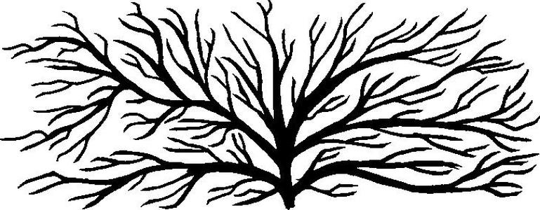 2D TREE WALL ART V2 (NEW)
