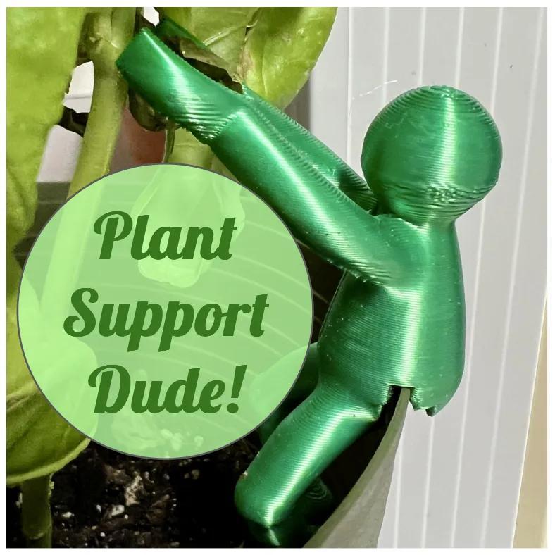 Plant Support Dude   