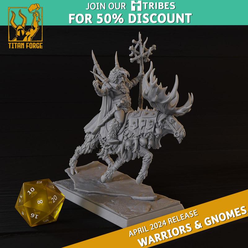 Norse and Gnomes Barbarians Exalted Wizard on Moose