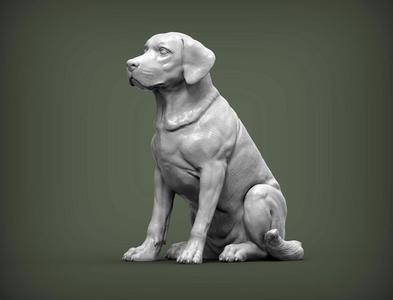 Labrador 3D print model