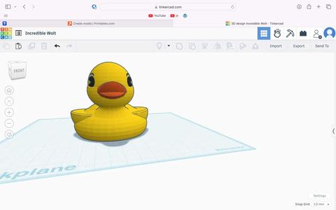 Rubber duck   