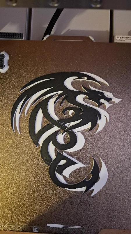 silhouette dragon in black and white   