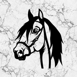 2D Horse