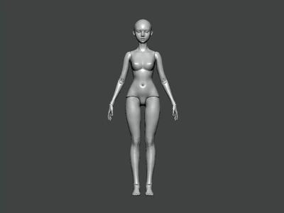 3D Model-ANATOMY0006 female figure