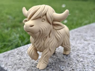Walking Highland Cow