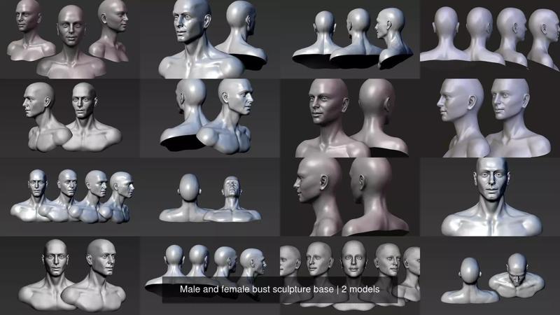 Male and female bust sculpture base 3D Model Collection