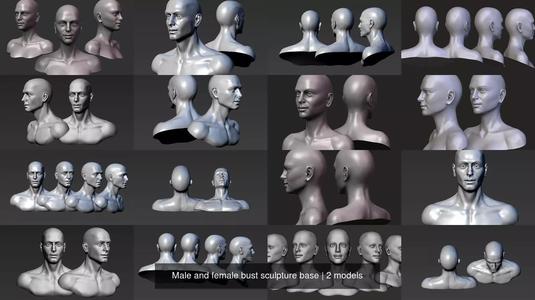 Male and female bust sculpture base 3D Model Collection