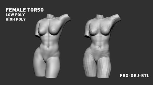 Female Torso 3