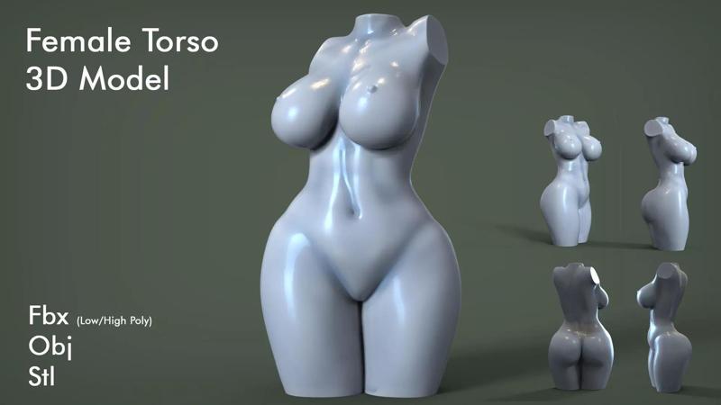 Female Torso 5
