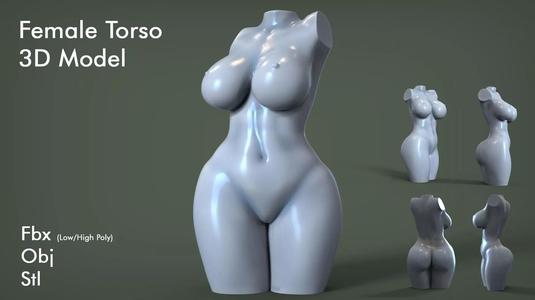 Female Torso 5