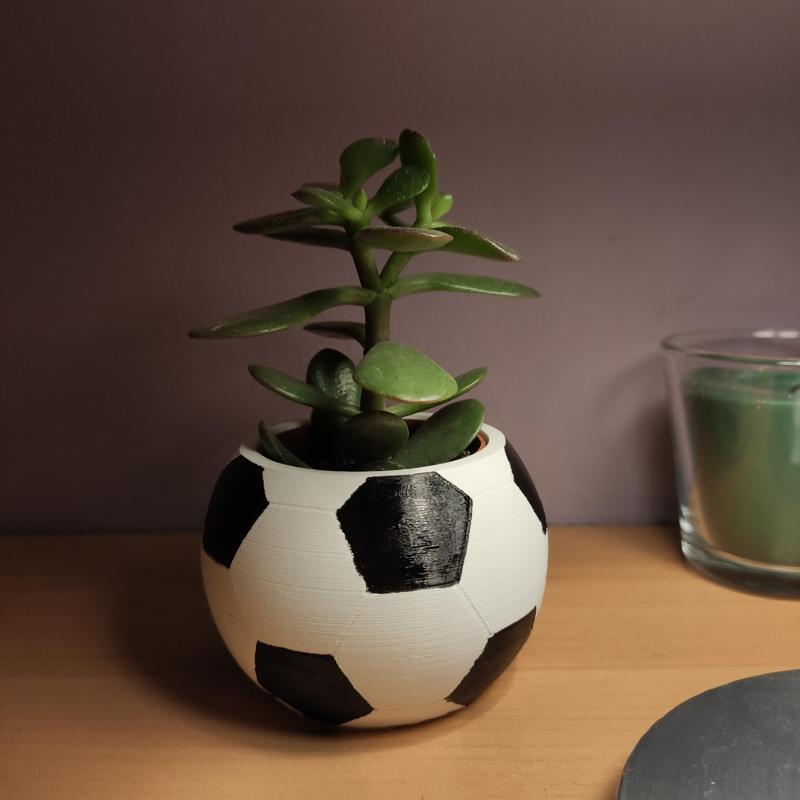 Soccer Ball  ikea mini cactus pot
