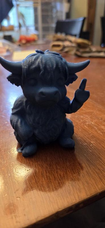 highland cow flipping the bird.