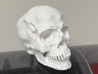 Human skull Hallowen