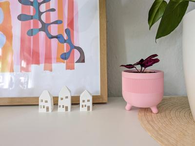 Flower pot with feet
