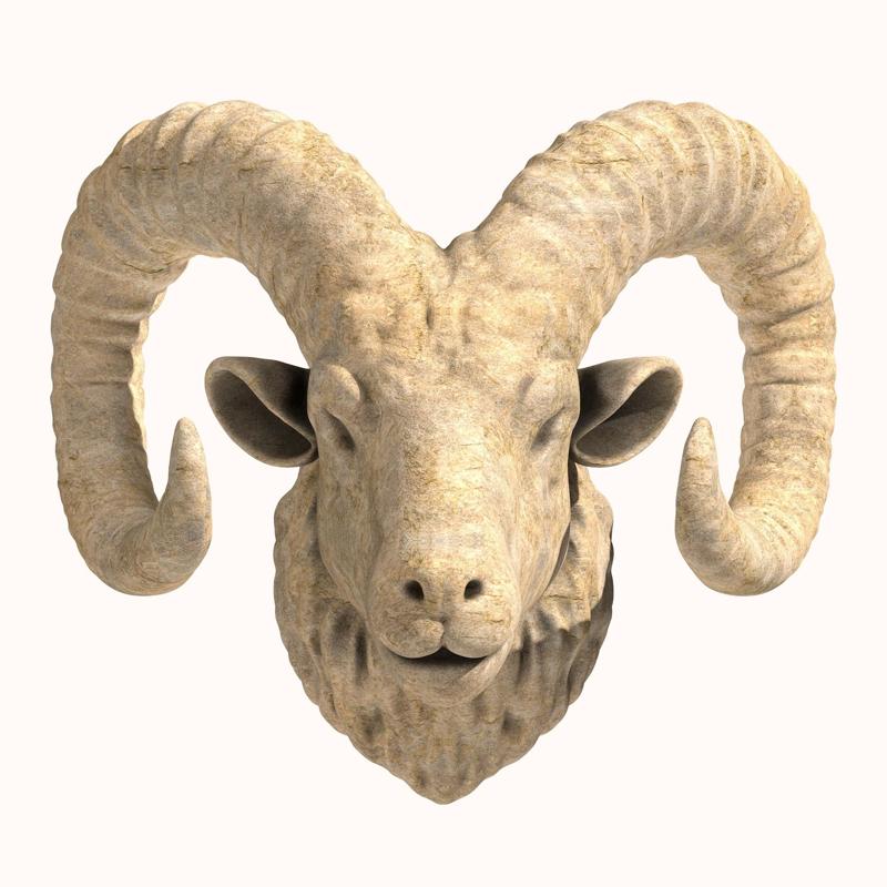 Big Horned Ram