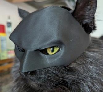 Batman cat mask