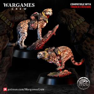 Cheetah Auxiliary Corps