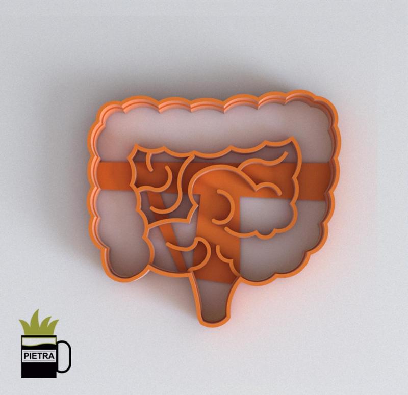 CUTTING MOULD OF FONDANT BISCUITS OF HUMAN BODY ORGANS INTESTINE 3D IMPRESSION MODEL