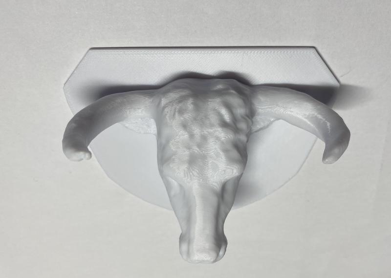 Bullhead Bull Taurus