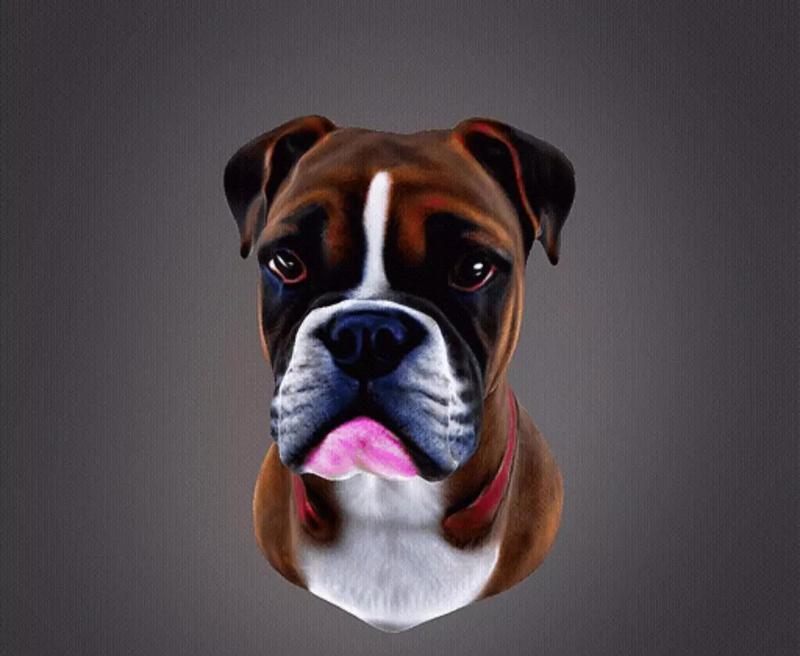 Boxer Bust