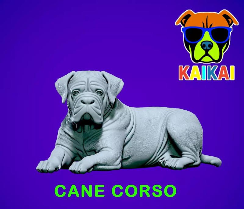 Cane Corso lying - English Mastiff model - 3D print