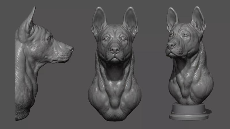 Thai Ridgeback dog head
