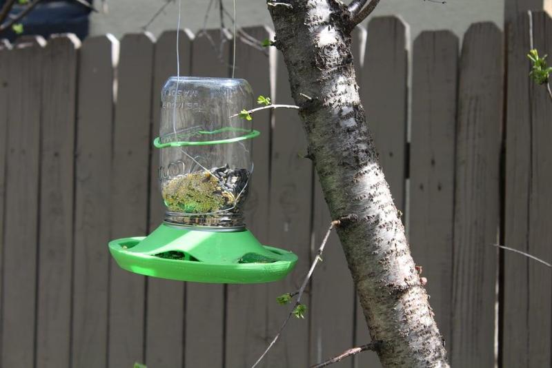 Bird Feeder