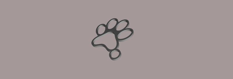 Paw Keychain