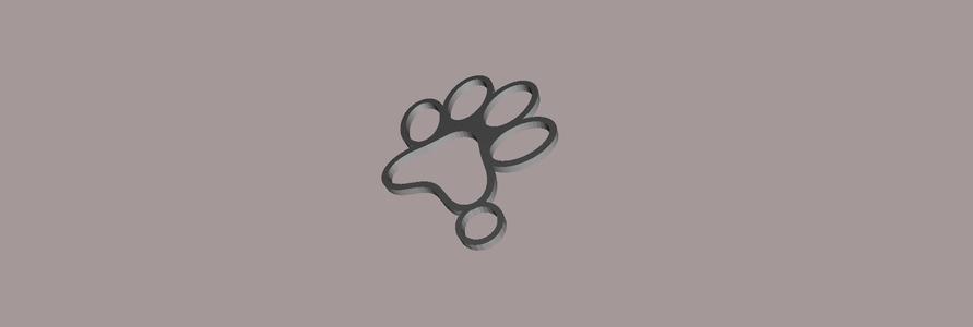 Paw Keychain