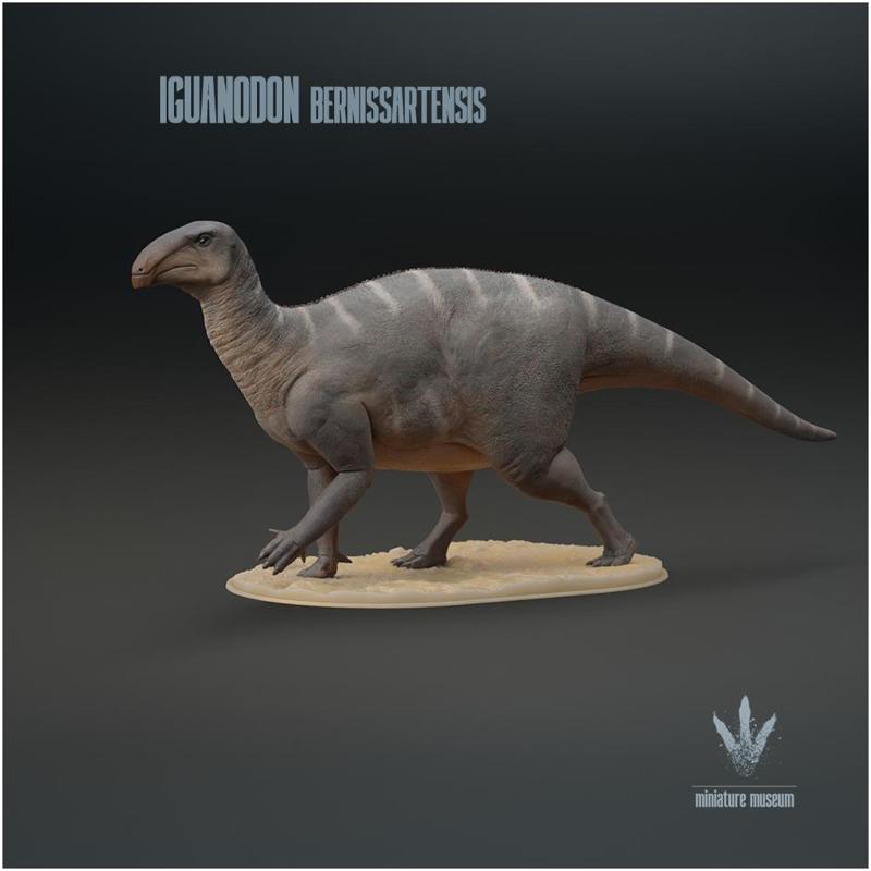 Iguanodon bernissartensis  : The Iguana Tooth