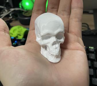 Skull Sculpt