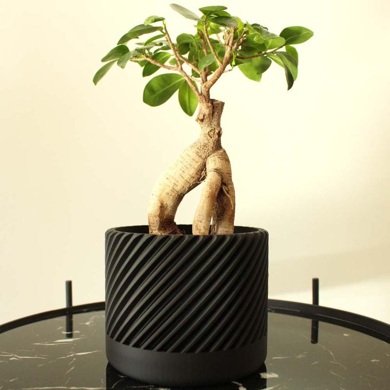 Modern Planter Spiral