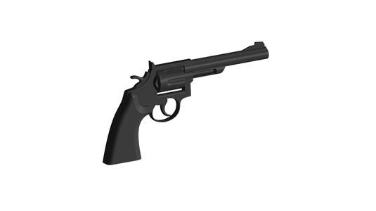 Smith Wesson Magnum