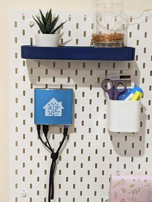 Odroid N2+/Home Assistant Blue IKEA Skadis Mount