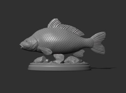 Carp fish on the base