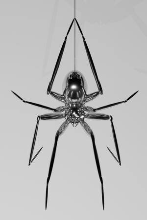 spider