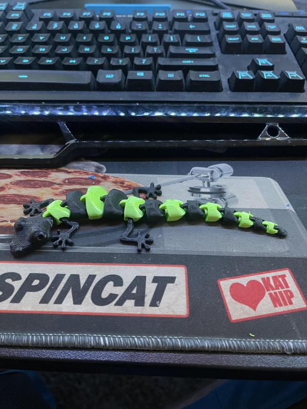 Dual Color Flexi Gecko